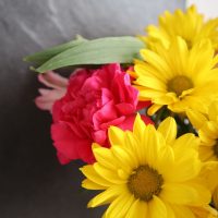 Preserving Cut Flowers - The 1800's Housewife