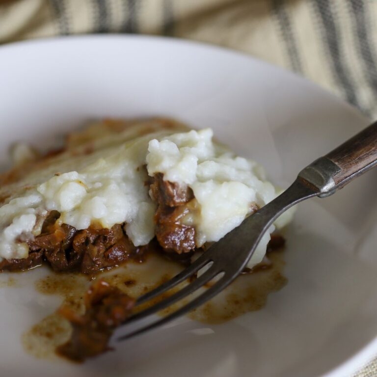 Beef Steak Pie The 1800s Housewife 