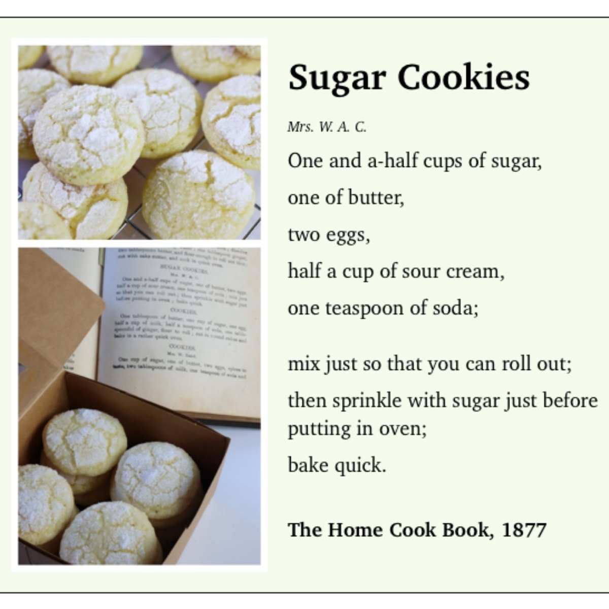 1800's recipe for sugar cookies