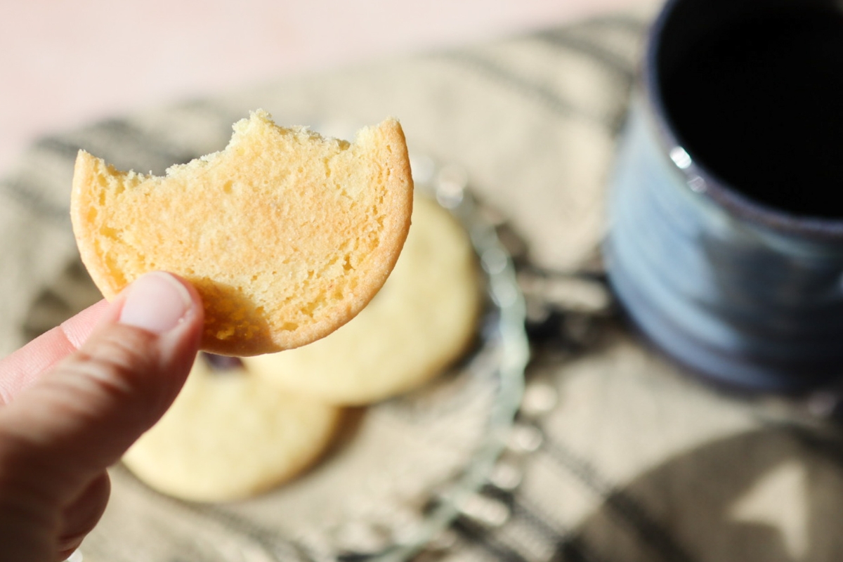 The golden brown bottom of an 1800's Connecticut Cookie