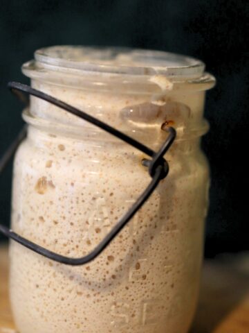 1800s yeast starter