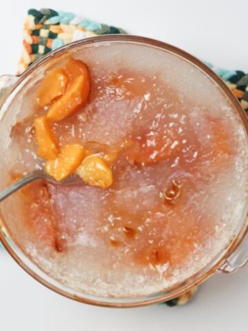 peach tapioca pudding from an 1876 recipe